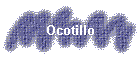 Ocotillo